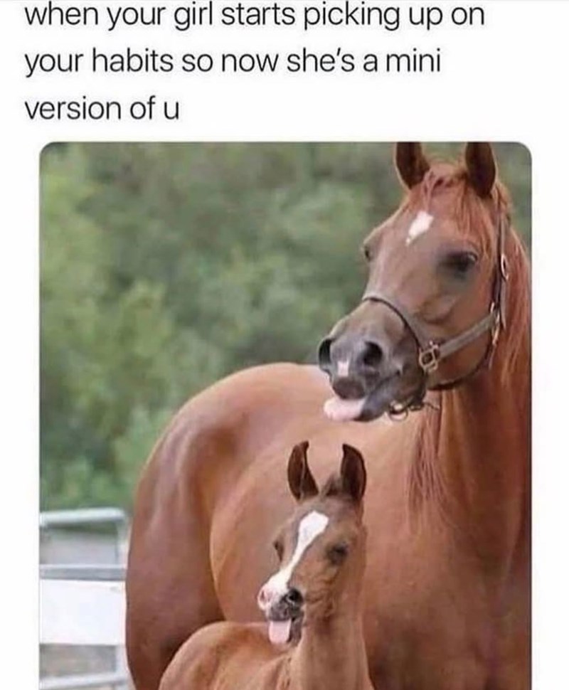 when your girl starts picking up on your habits so now she's a mini version of u