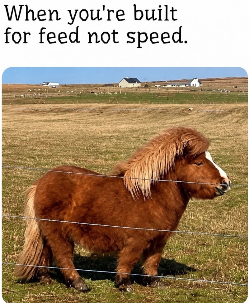 When you're built for feed not speed.