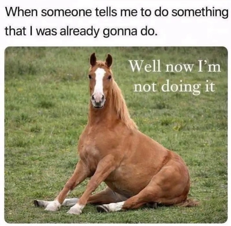 When someone tells me to do something that I was already gonna do. Well now I'm not doing it