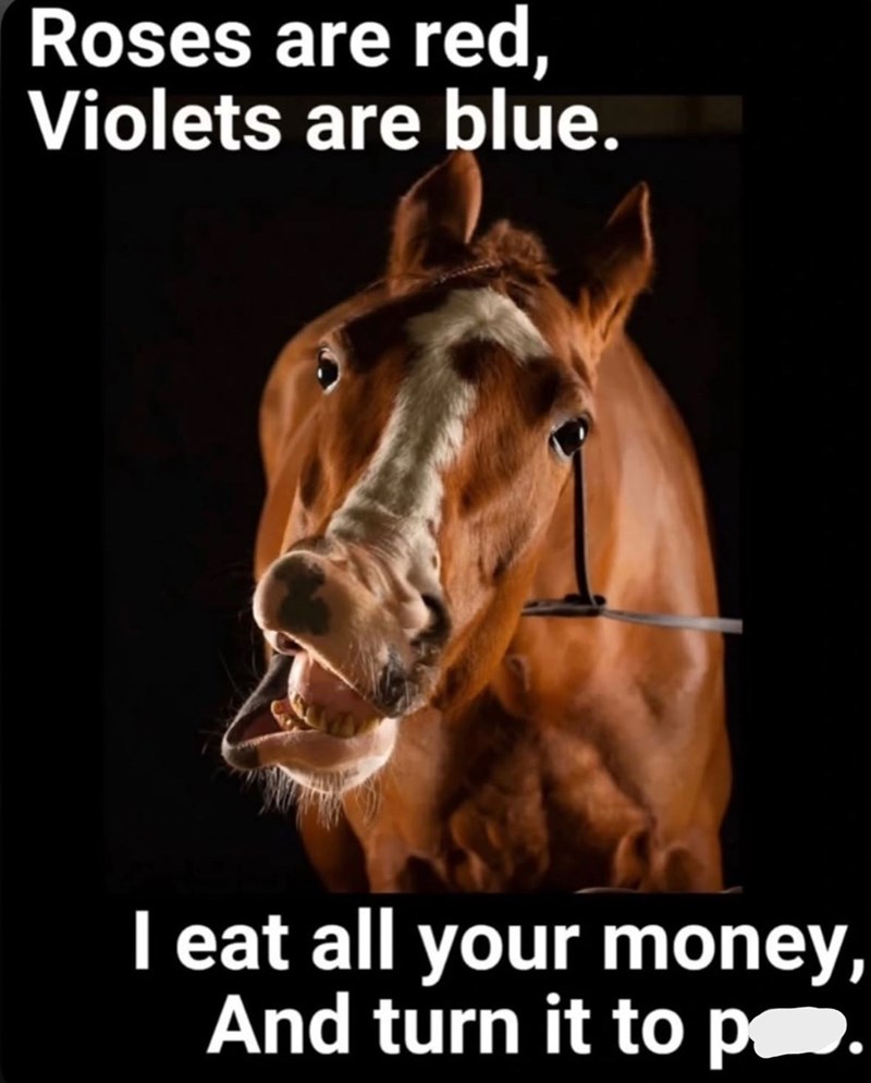 Roses are red, Violets are blue. I eat all your money, And turn it to p❤.