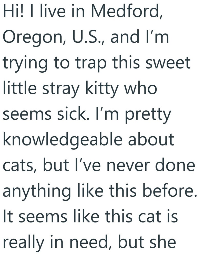 Hi! I live in Medford, Oregon, U.S., and I'm trying to trap this sweet little stray kitty who seems sick. I'm pretty knowledgeable about cats, but I've never done anything like this before. It seems like this cat is really in need, but she