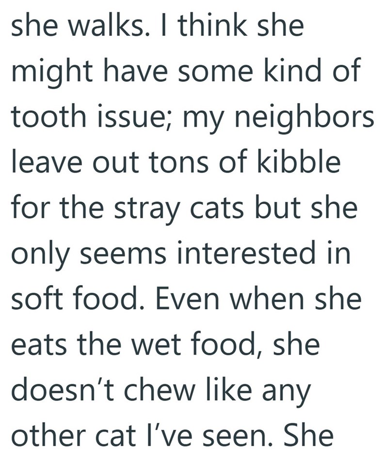 she walks. I think she might have some kind of tooth issue; my neighbors leave out tons of kibble for the stray cats but she only seems interested in soft food. Even when she eats the wet food, she doesn't chew like any other cat I've seen. She