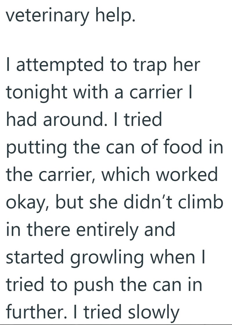 veterinary help. I attempted to trap her tonight with a carrier | had around. I tried putting the can of food in the carrier, which worked okay, but she didn't climb in there entirely and started growling when I tried to push the can in further. I tried slowly
