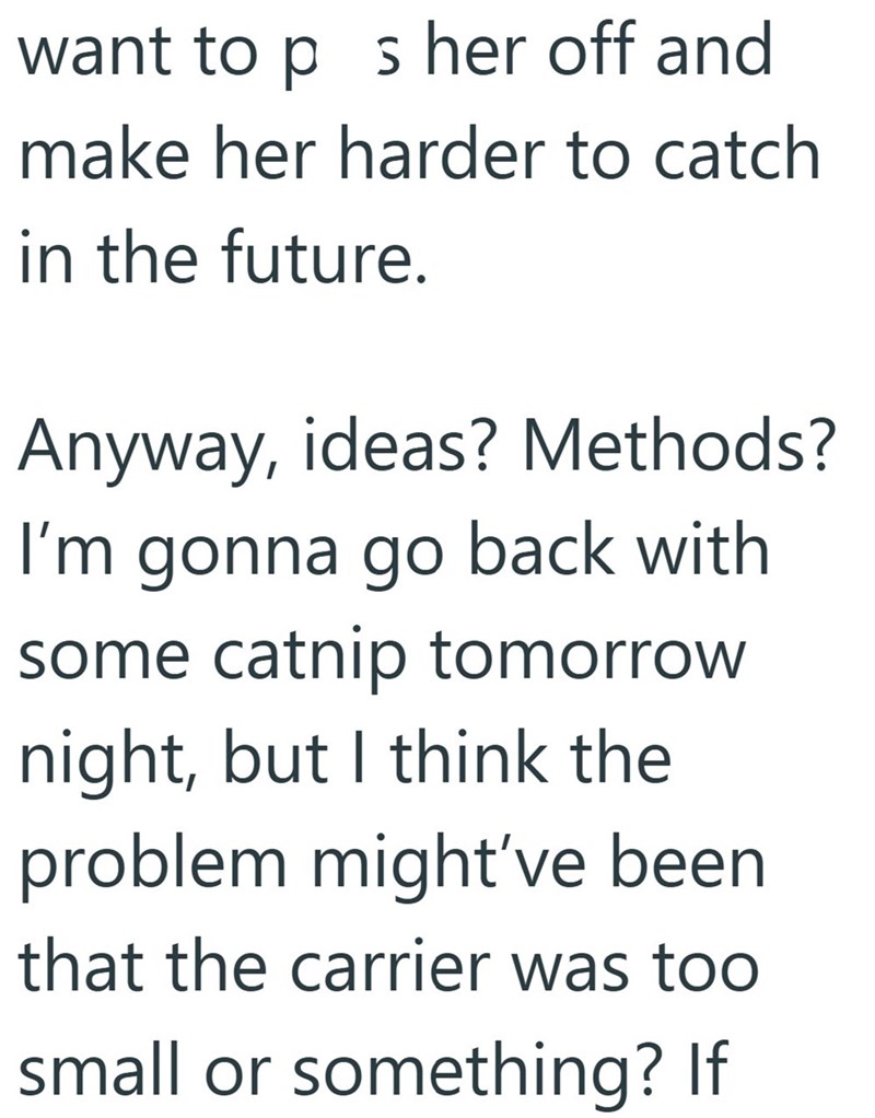 want to ps her off and make her harder to catch in the future. Anyway, ideas? Methods? I'm gonna go back with some catnip tomorrow night, but I think the problem might've been that the carrier was too small or something? If