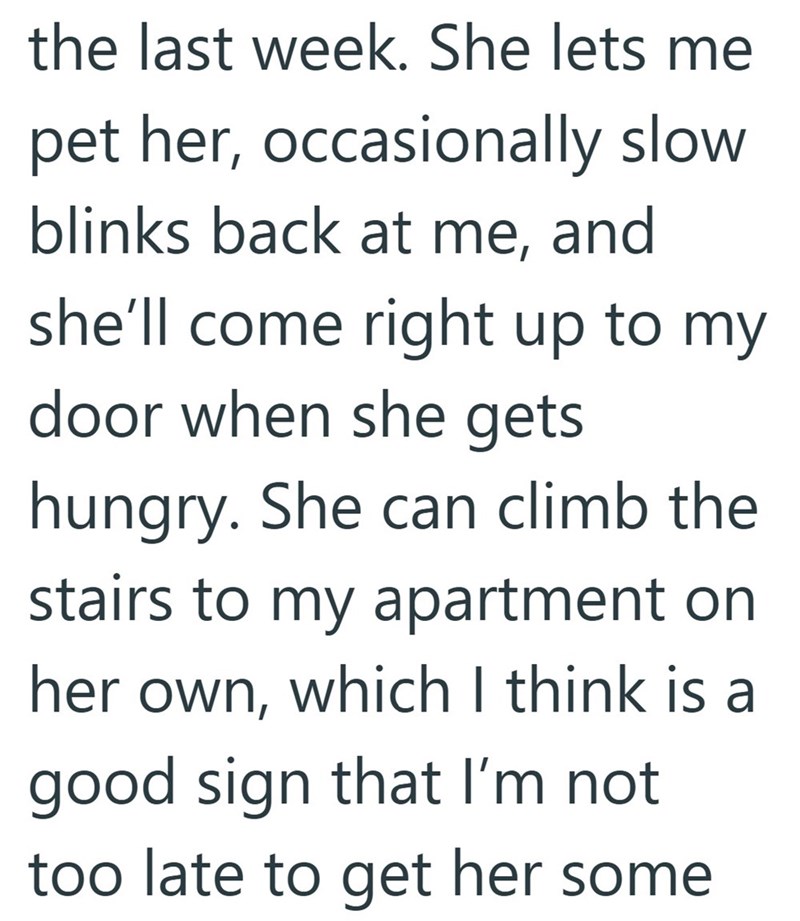 the last week. She lets me pet her, occasionally slow blinks back at me, and she'll come right up to my door when she gets hungry. She can climb the stairs to my apartment on her own, which I think is a good sign that I'm not too late to get her some