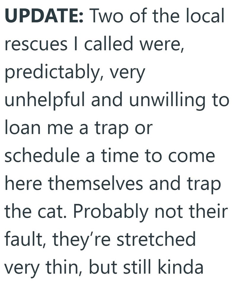 UPDATE: Two of the local rescues I called were, predictably, very unhelpful and unwilling to loan me a trap or schedule a time to come here themselves and trap the cat. Probably not their fault, they're stretched very thin, but still kinda