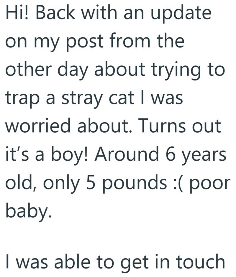 Hi! Back with an update on my post from the other day about trying to trap a stray cat I was worried about. Turns out it's a boy! Around 6 years old, only 5 pounds :( poor baby. I was able to get in touch