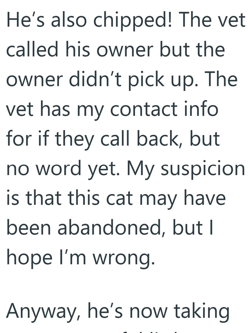 He's also chipped! The vet called his owner but the owner didn't pick up. The vet has my contact info for if they call back, but no word yet. My suspicion is that this cat may have been abandoned, but I hope I'm wrong. Anyway, he's now taking
