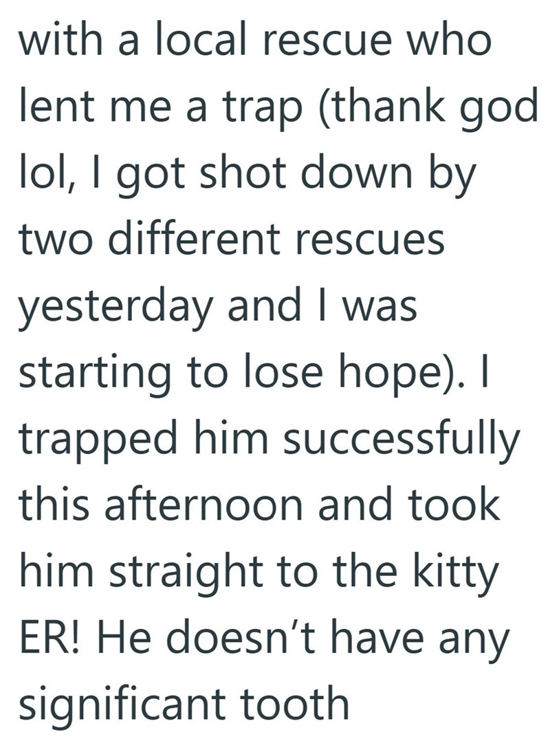 with a local rescue who lent me a trap (thank god lol, I got shot down by two different rescues yesterday and I was starting to lose hope). I trapped him successfully this afternoon and took him straight to the kitty ER! He doesn't have any significant tooth