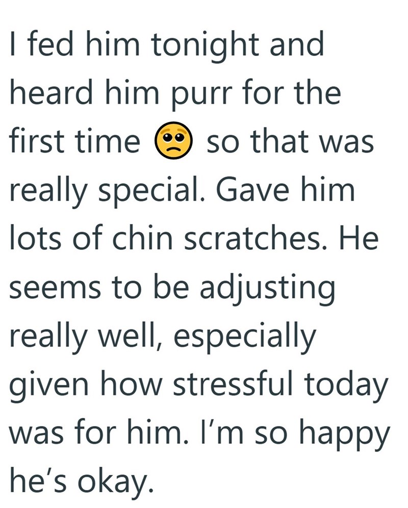 I fed him tonight and heard him purr for the first time so that was really special. Gave him. lots of chin scratches. He seems to be adjusting really well, especially given how stressful today was for him. I'm so happy he's okay.