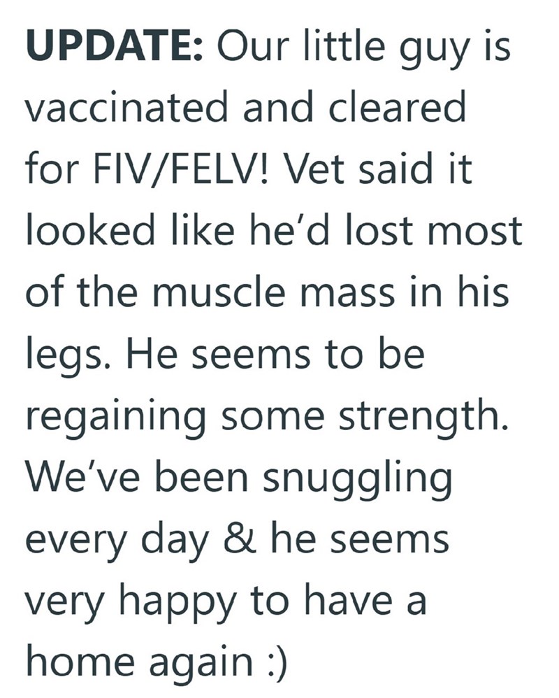 UPDATE: Our little guy is vaccinated and cleared for FIV/FELV! Vet said it looked like he'd lost most of the muscle mass in his legs. He seems to be regaining some strength. We've been snuggling every day & he seems very happy to have a home again :)