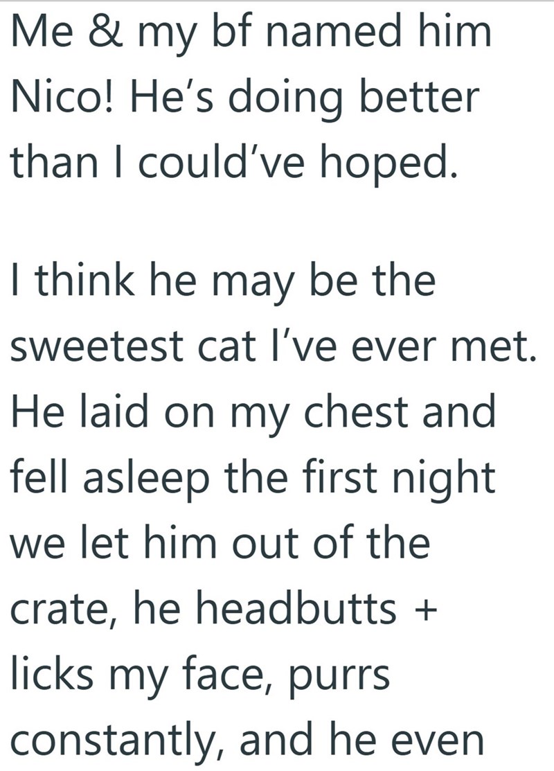Me & my bf named him Nico! He's doing better than I could've hoped. I think he may be the sweetest cat I've ever met. He laid on my chest and fell asleep the first night we let him out of the crate, he headbutts + licks my face, purrs constantly, and he even
