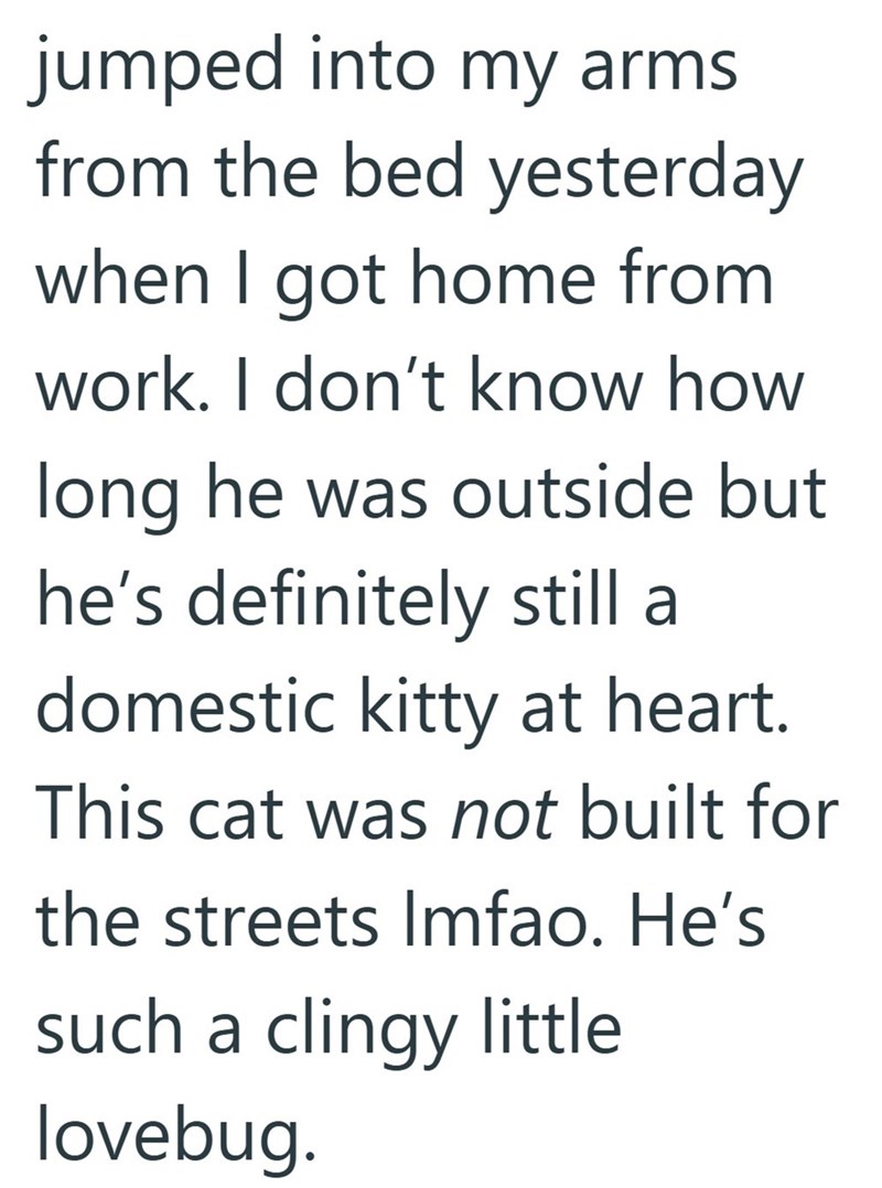 jumped into my arms from the bed yesterday when I got home from work. I don't know how long he was outside but he's definitely still a domestic kitty at heart. This cat was not built for the streets Imfao. He's such a clingy little lovebug.