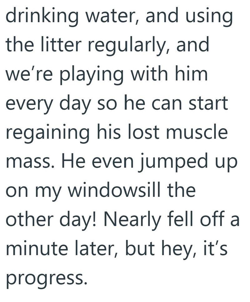 drinking water, and using the litter regularly, and we're playing with him every day so he can start regaining his lost muscle mass. He even jumped up on my windowsill the other day! Nearly fell off a minute later, but hey, it's progress.