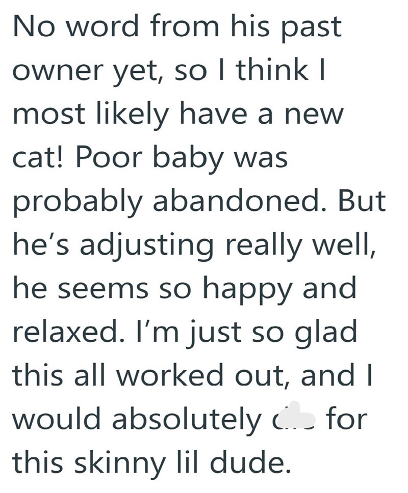 No word from his past owner yet, so I think I most likely have a new cat! Poor baby was probably abandoned. But he's adjusting really well, he seems so happy and relaxed. I'm just so glad this all worked out, and I would absolutely d for this skinny lil dude.