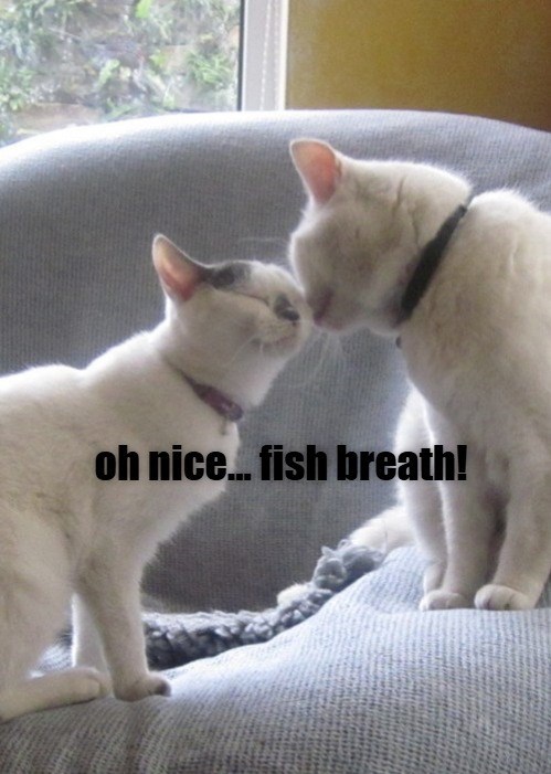 oh nice... fish breath!