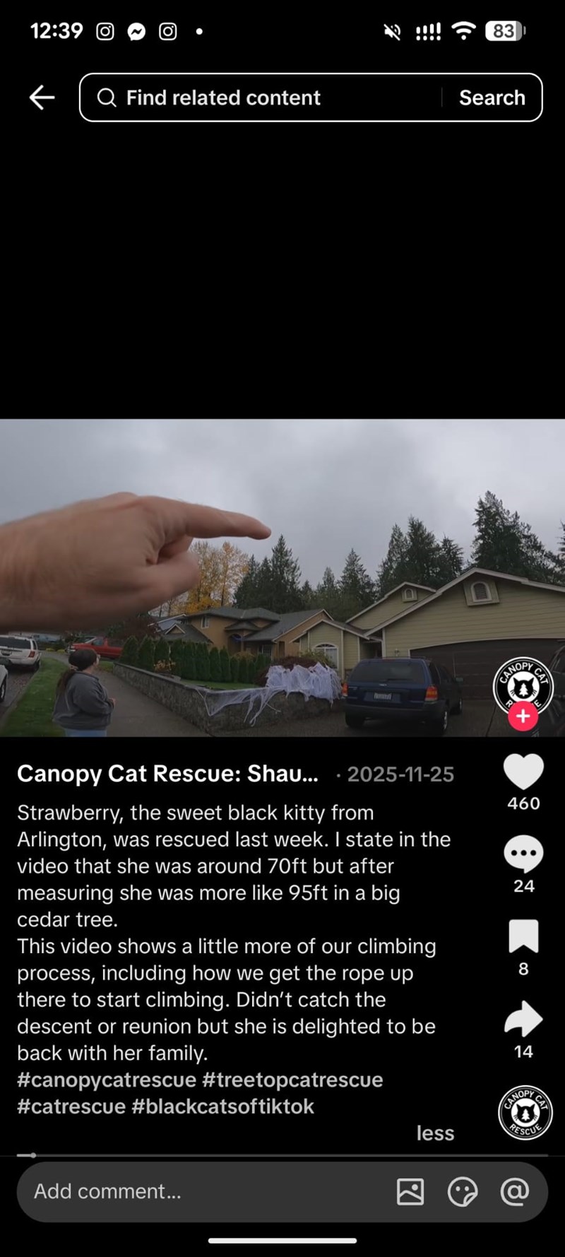 12:39 · 83 ← Q Find related content Search Canopy Cat Rescue: Shau... 2025-11-25 CANOPY CAT Strawberry, the sweet black kitty from Arlington, was rescued last week. I state in the video that she was around 70ft but after measuring she was more like 95ft in a big cedar tree. This video shows a little more of our climbing process, including how we get the rope up there to start climbing. Didn't catch the descent or reunion but she is delighted to be back with her family. #canopycatrescue #treetopc