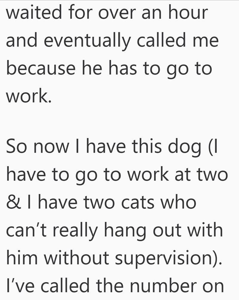 waited for over an hour and eventually called me because he has to go to work. So now I have this dog (I have to go to work at two & I have two cats who can't really hang out with him without supervision). I've called the number on
