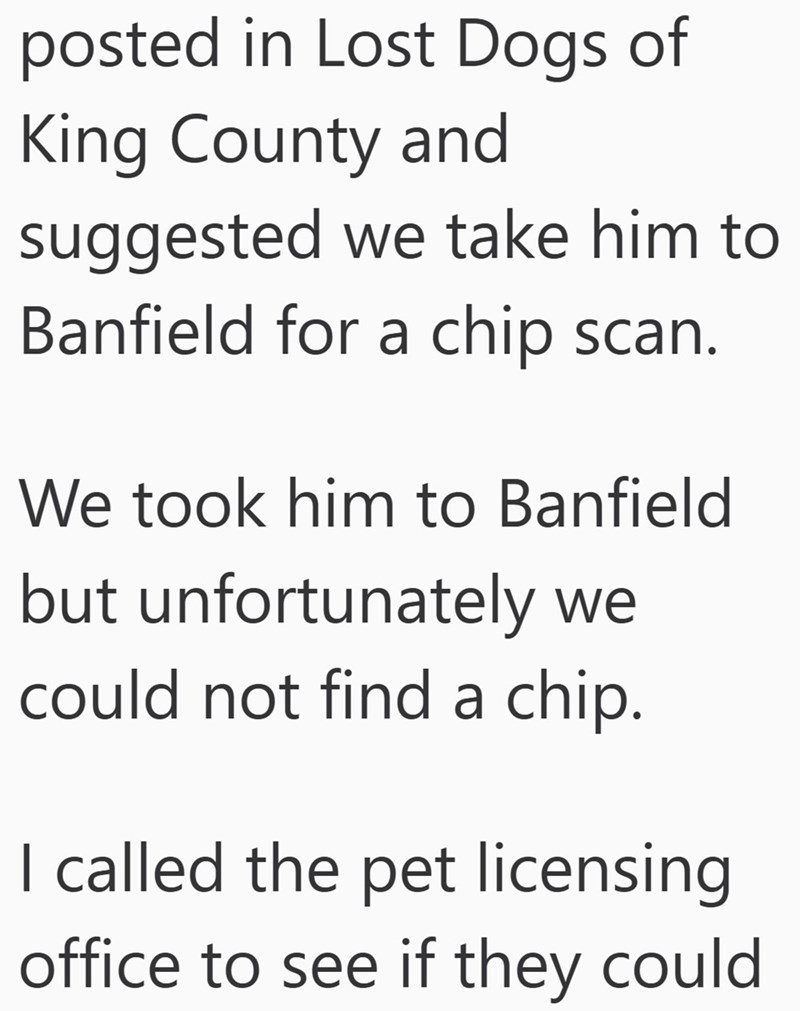 posted in Lost Dogs of King County and suggested we take him to Banfield for a chip scan. We took him to Banfield but unfortunately we could not find a chip. I called the pet licensing office to see if they could