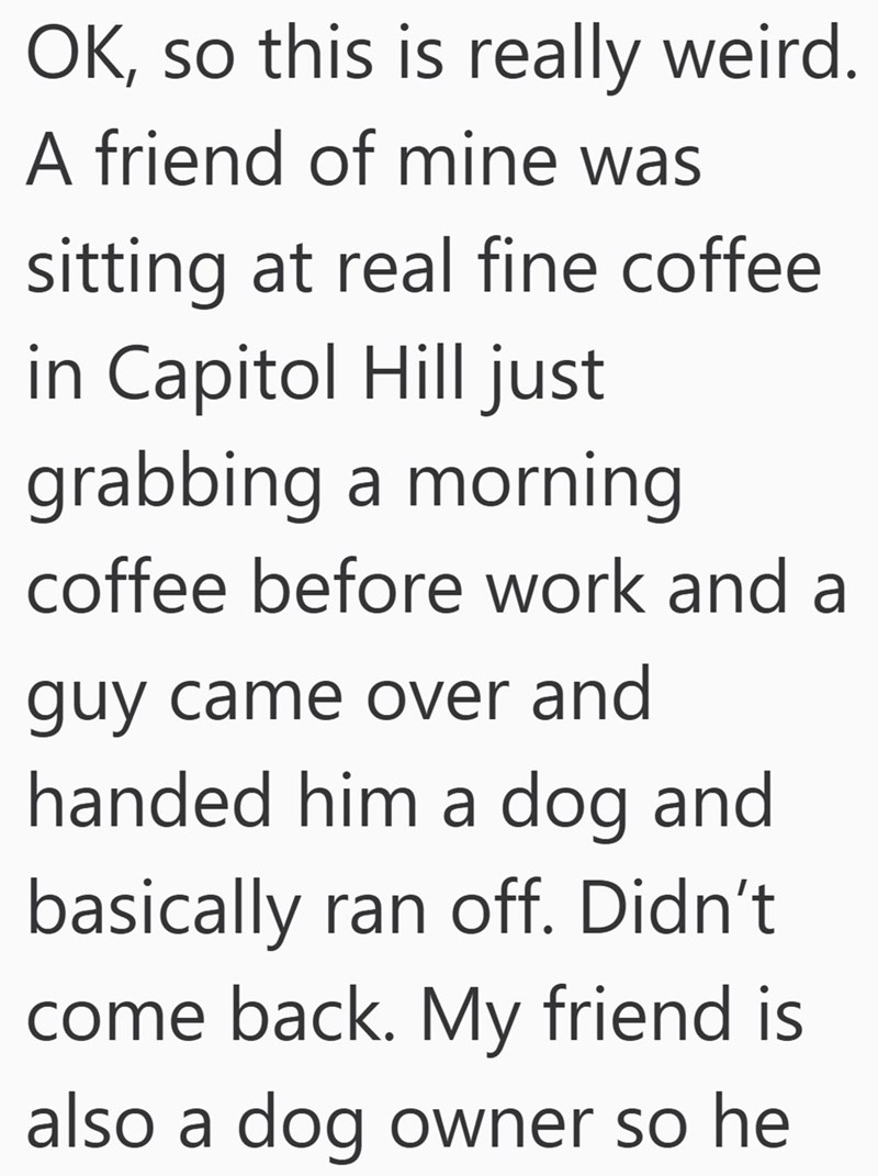 OK, so this is really weird. A friend of mine was sitting at real fine coffee in Capitol Hill just grabbing a morning coffee before work and a guy came over and handed him a dog and basically ran off. Didn't come back. My friend is also a dog owner so he