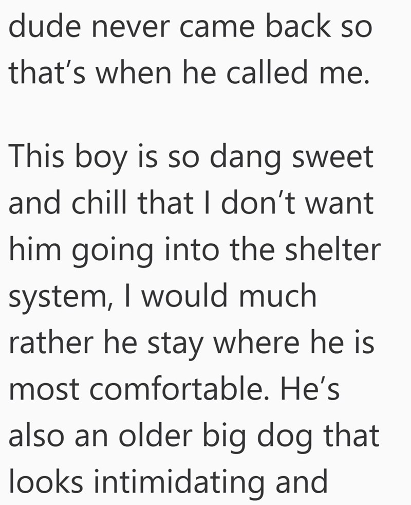 dude never came back so that's when he called me. This boy is so dang sweet and chill that I don't want him going into the shelter system, I would much rather he stay where he is most comfortable. He's also an older big dog that looks intimidating and