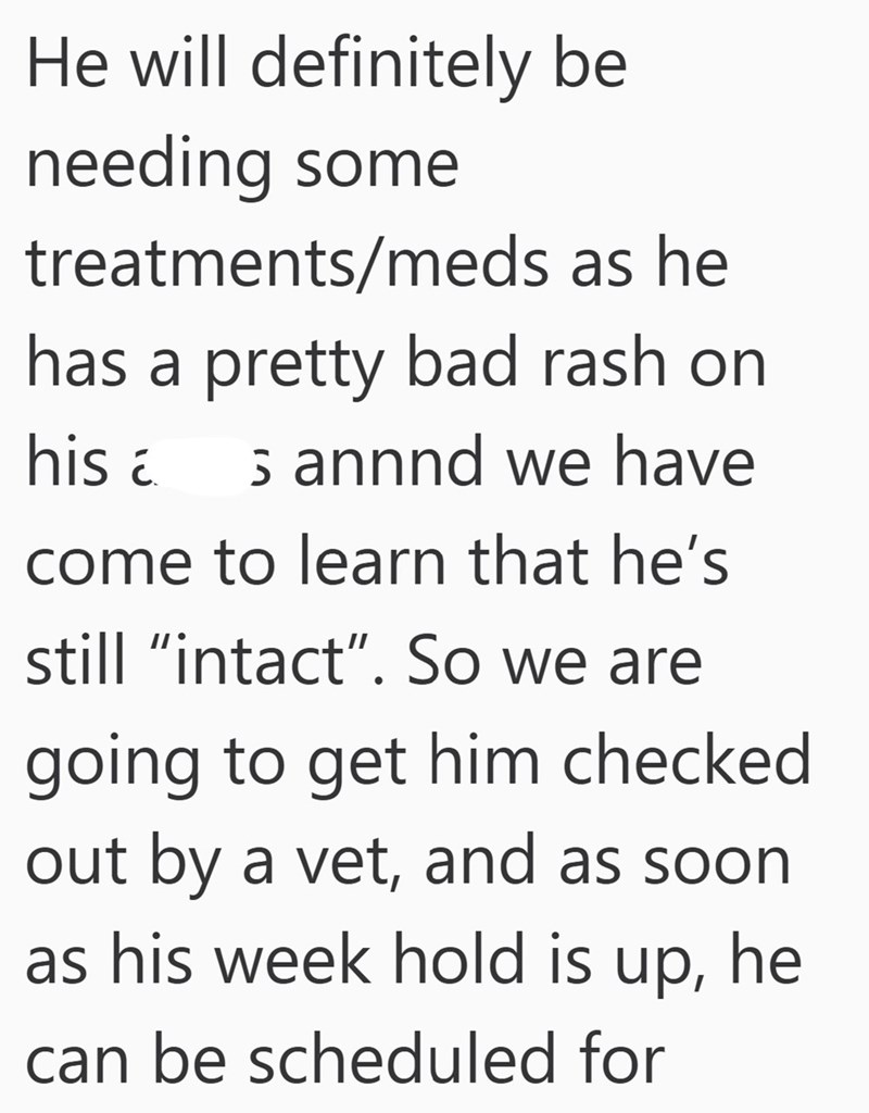 He will definitely be needing some treatments/meds as he has a pretty bad rash on S annnd we have his come to learn that he's still "intact". So we are going to get him checked out by a vet, and as soon as his week hold is up, he can be scheduled for