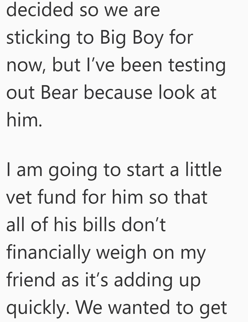 decided so we are sticking to Big Boy for now, but I've been testing out Bear because look at him. I am going to start a little vet fund for him so that all of his bills don't financially weigh on my friend as it's adding up quickly. We wanted to get