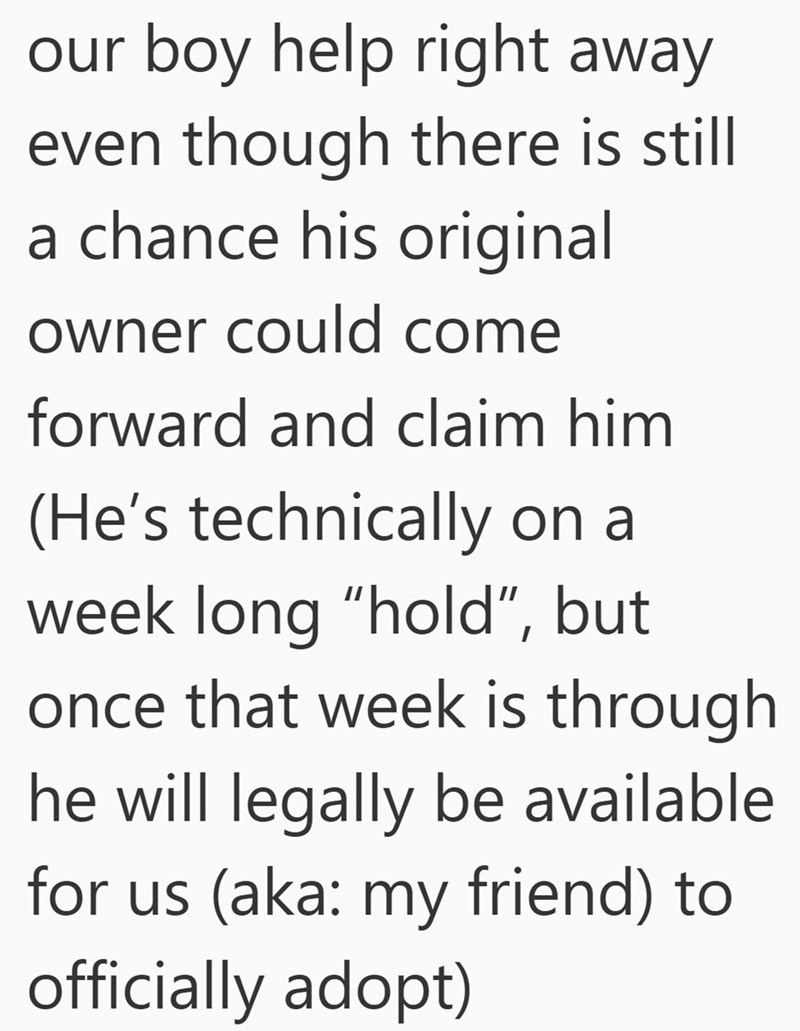 our boy help right away even though there is still a chance his original owner could come forward and claim him. (He's technically on a week long "hold”, but once that week is through he will legally be available for us (aka: my friend) to officially adopt)