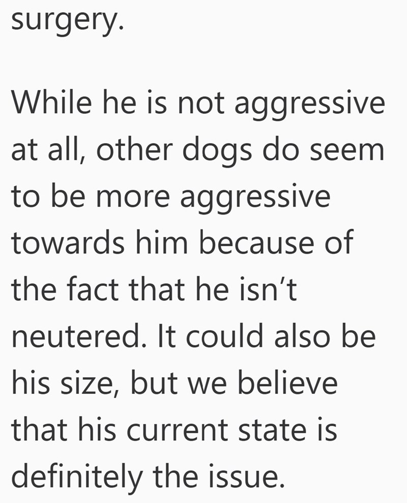 surgery. While he is not aggressive at all, other dogs do seem to be more aggressive towards him because of the fact that he isn't neutered. It could also be his size, but we believe that his current state is definitely the issue.