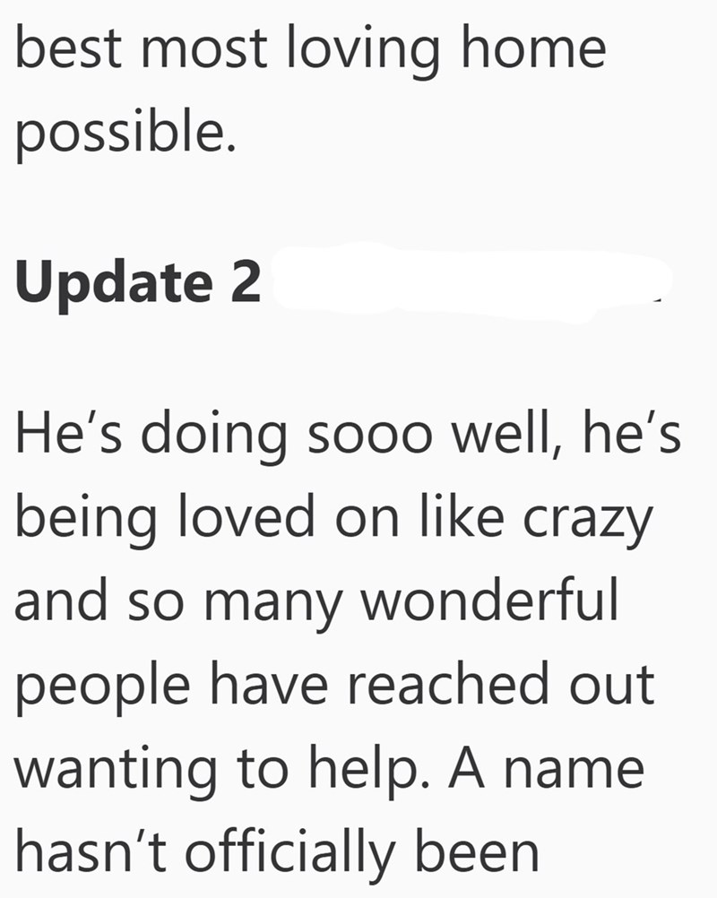 best most loving home possible. Update 2 He's doing sooo well, he's being loved on like crazy and so many wonderful people have reached out wanting to help. A name hasn't officially been