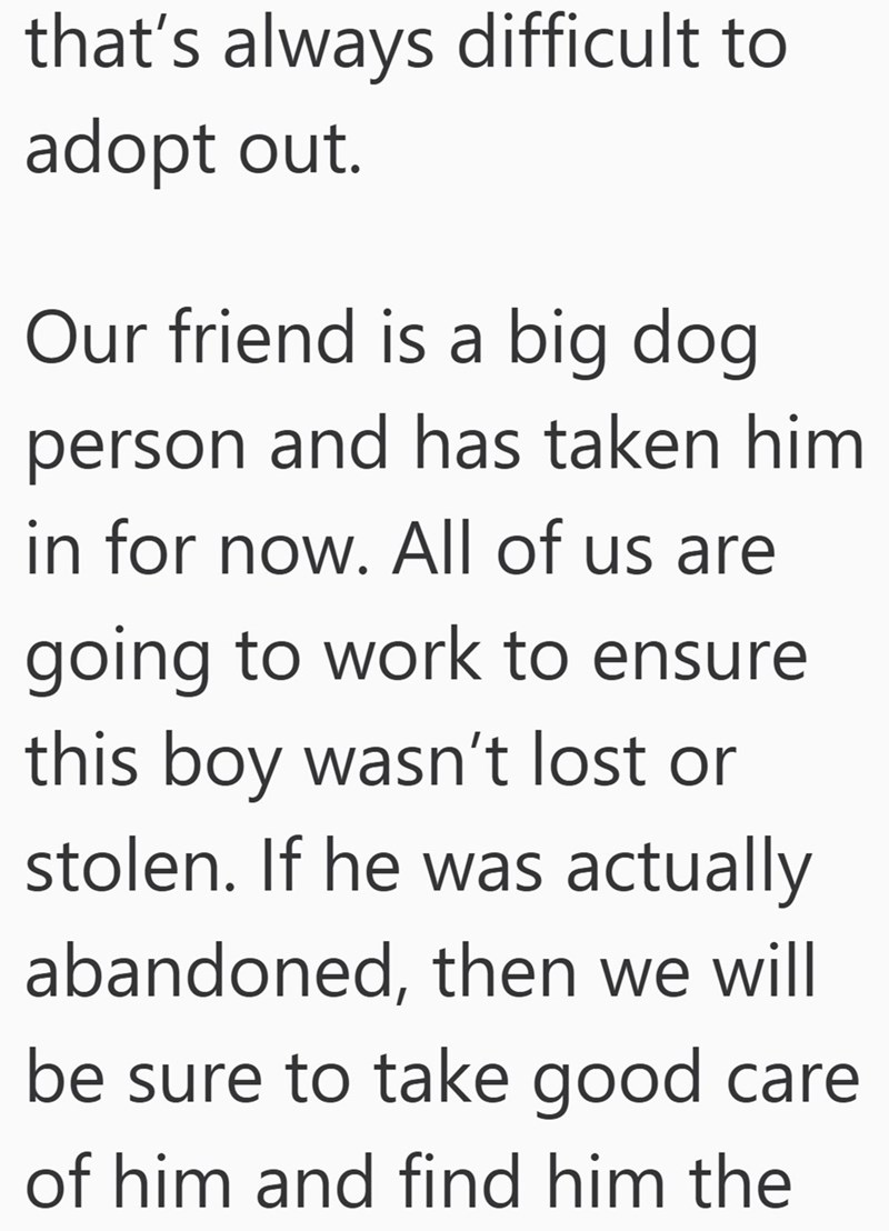 that's always difficult to adopt out. Our friend is a big dog person and has taken him in for now. All of us are going to work to ensure this boy wasn't lost or stolen. If he was actually abandoned, then we will be sure to take good care of him and find him the
