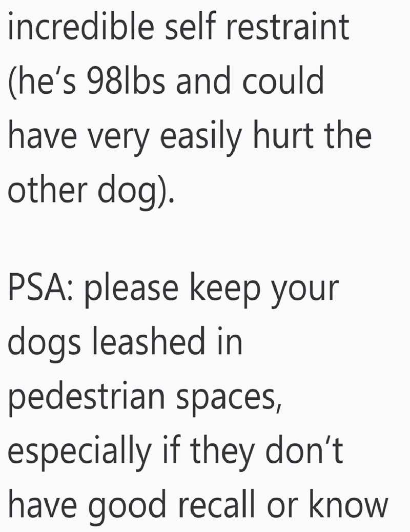 incredible self restraint (he's 98lbs and could have very easily hurt the other dog). PSA: please keep your dogs leashed in pedestrian spaces, especially if they don't have good recall or know
