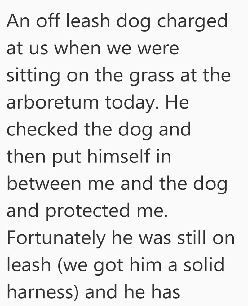 An off leash dog charged at us when we were sitting on the grass at the arboretum today. He checked the dog and then put himself in between me and the dog and protected me. Fortunately he was still on leash (we got him a solid harness) and he has