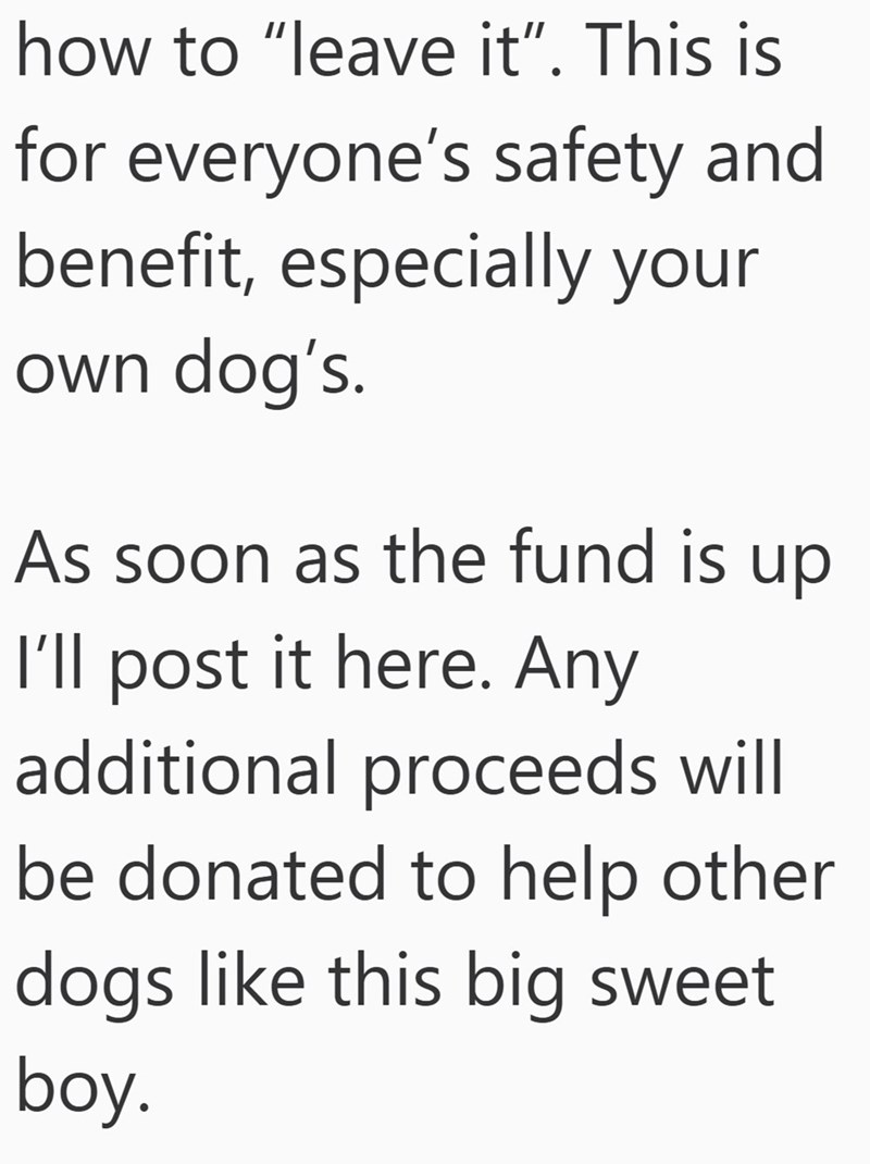 how to "leave it". This is for everyone's safety and benefit, especially your own dog's. As soon as the fund is up I'll post it here. Any additional proceeds will be donated to help other dogs like this big sweet boy.