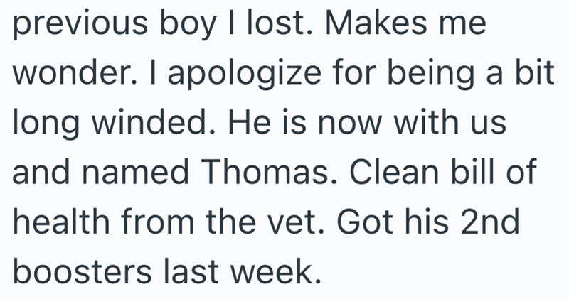 previous boy I lost. Makes me wonder. I apologize for being a bit long winded. He is now with us and named Thomas. Clean bill of health from the vet. Got his 2nd boosters last week.