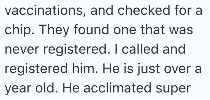vaccinations, and checked for a chip. They found one that was never registered. I called and registered him. He is just over a year old. He acclimated super