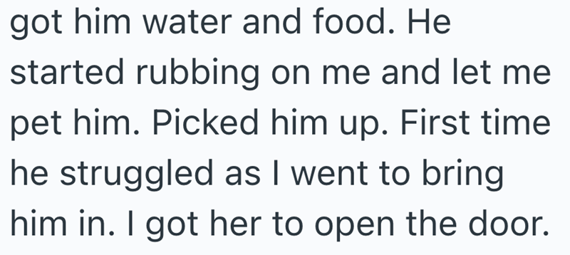 got him water and food. He started rubbing on me and let me pet him. Picked him up. First time he struggled as I went to bring him in. I got her to open the door.