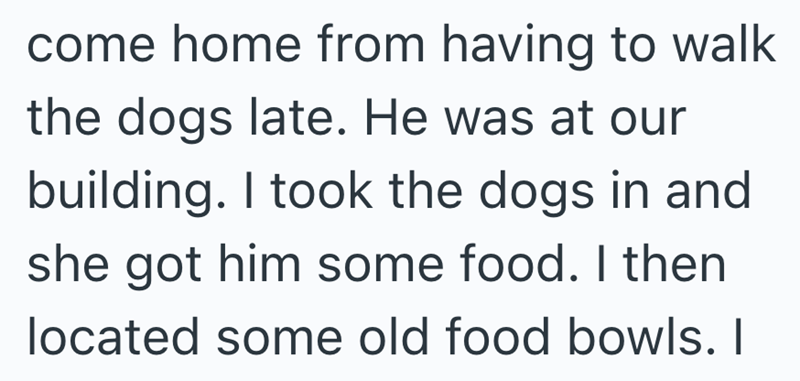 come home from having to walk the dogs late. He was at our building. I took the dogs in and she got him some food. I then located some old food bowls. I