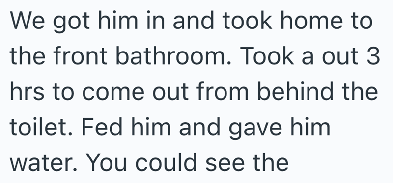 We got him in and took home to the front bathroom. Took a out 3 hrs to come out from behind the toilet. Fed him and gave him water. You could see the