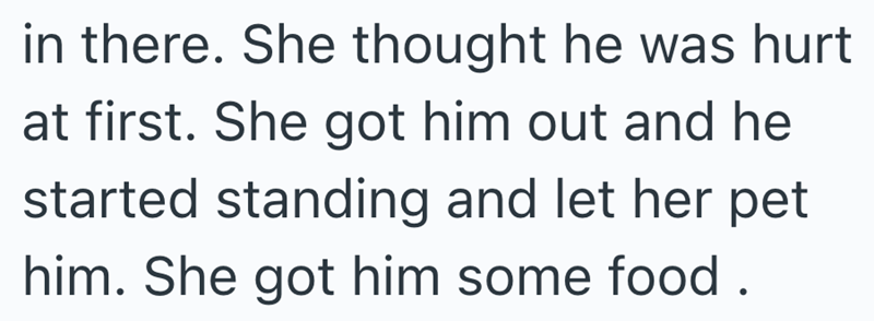 in there. She thought he was hurt at first. She got him out and he started standing and let her pet him. She got him some food.