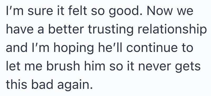 I'm sure it felt so good. Now we have a better trusting relationship and I'm hoping he'll continue to let me brush him so it never gets this bad again.