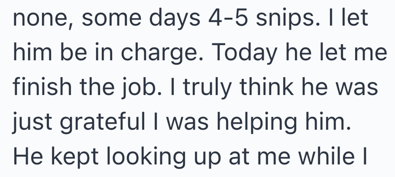 none, some days 4-5 snips. I let him be in charge. Today he let me finish the job. I truly think he was just grateful I was helping him. He kept looking up at me while I