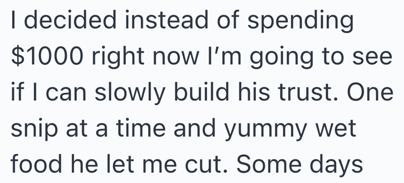 I decided instead of spending $1000 right now I'm going to see if I can slowly build his trust. One snip at a time and yummy wet food he let me cut. Some days