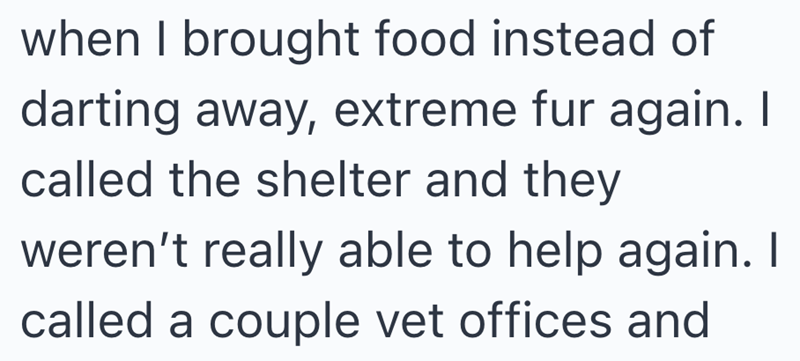 when I brought food instead of darting away, extreme fur again. I called the shelter and they weren't really able to help again. I called a couple vet offices and