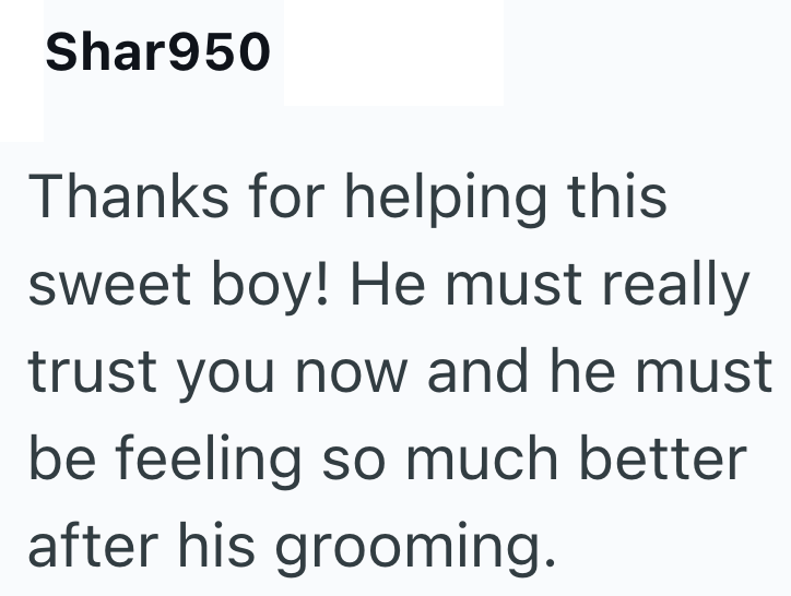 Shar950 Thanks for helping this sweet boy! He must really trust you now and he must be feeling so much better after his grooming.