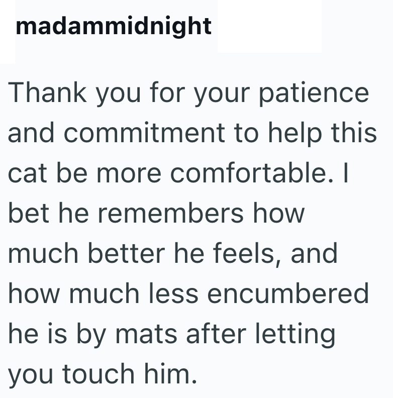 madammidnight Thank you for your patience and commitment to help this cat be more comfortable. I bet he remembers how much better he feels, and how much less encumbered he is by mats after letting you touch him.