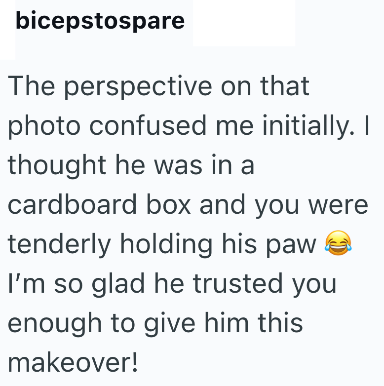 bicepstospare The perspective on that photo confused me initially. I thought he was in a cardboard box and you were tenderly holding his paw I'm so glad he trusted you enough to give him this makeover!