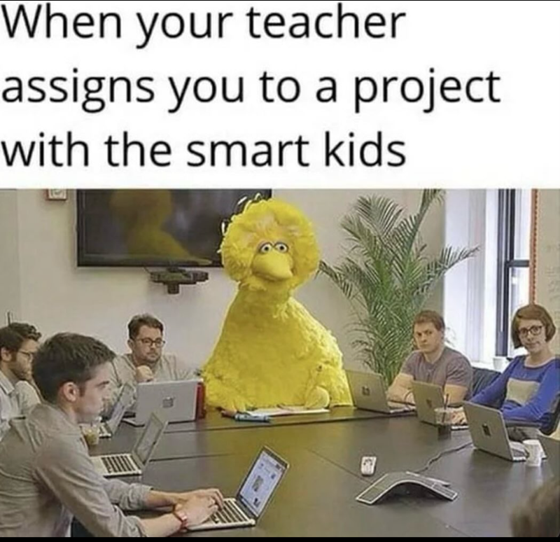 When your teacher assigns you to a project with the smart kids