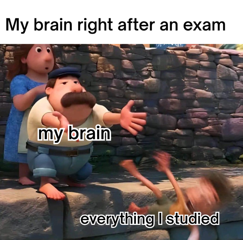 My brain right after an exam my brain everything I studied