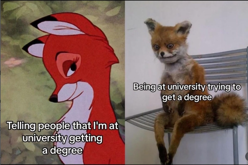 Telling people that I'm at university getting a degree Being at university trying to get a degree